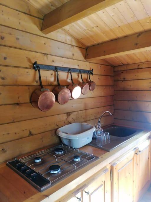 Chalet En Pleine Nature Au Bord D'Un Etang Lanvallay Exteriör bild