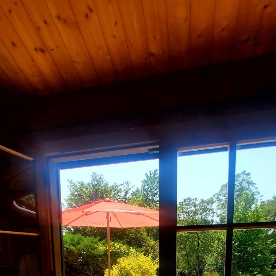 Chalet En Pleine Nature Au Bord D'Un Etang Lanvallay Exteriör bild